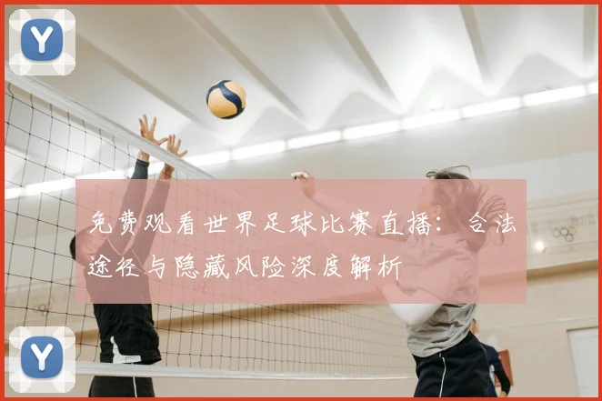 免费观看世界足球比赛直播：合法途径与隐藏风险深度解析